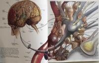 Brain, Mind and Behavior