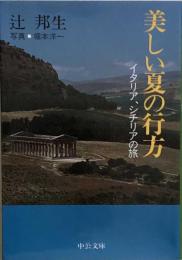 美しい夏の行方―イタリア、シチリアの旅 (中公文庫) 