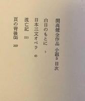 開高健全作品 小説 ３