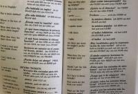 Barron's Spanish at a glance：Phrase Book&Dictionary for Travellers