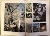 日本の花木