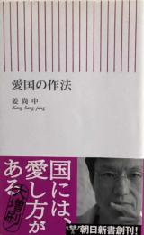 愛国の作法 (朝日新書)