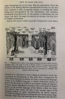 Early English Stages: 1300 to 1600: Volume 2 - 1576-1600, Part 1