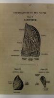 A Monograph on the Sub-Class Cirripedia, with Figures of all the Species.
By Charles Darwin,F.R.S., F.G.S. The Lepadidae;or,Pedunculated  Cirripedes.