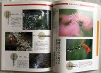 35ミリ一眼レフカメラで撮る　花の写真表現術  CAPAカメラシリーズ 5 
GAKKEN CAMERA MOOK