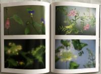 秋山庄太郎写真集  花273  日本カメラ別冊