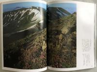 山の花抒情　白籏史朗写真集 日本カメラ別冊