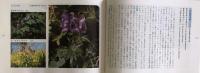 ハンディ版　カラー　高山植物　全3冊