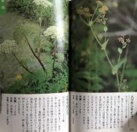 高山の植物　ポケット図鑑　　