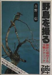 野鳥を撮る　撮影に成功する実戦テクニック　　フォトアート写真入門