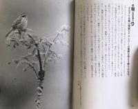 野鳥を撮る　撮影に成功する実戦テクニック　　フォトアート写真入門