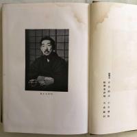 寺田寅彦全集　文学篇　第4巻  随筆
