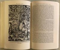 New Historical Literary Study : Essays on Reproducing Texts, Representing History