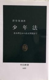 少年法 基本理念から改正問題まで (中公新書) 