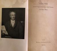 Goethe: Grundzüge seines Lebens und Werkes