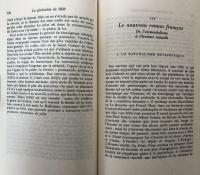 Panorama de la nouvelle littérature française
