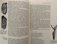 Religion and Man: An Introduction