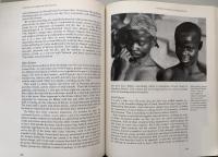 The World's Religions: Old Traditions and Modern Transformations