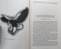 Steller's Island : Adventures of a Pioneer Naturalist in Alaska