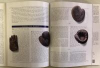Treasures of the Baseball Hall of Fame: The Official Companion to the Collection at Cooperstown