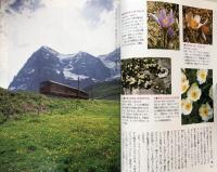 スイス・アルプス花の旅　アルプスの名花を訪ねて牧歌の里へ　　講談社カルチャーブックス