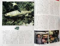 渓流釣り Vol.3