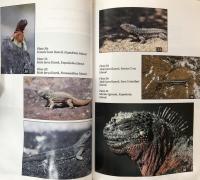 Galapagos: A Natural History 