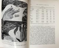 Evolution of some arctic gulls (Larus): an experimental study of isolating mechanisms
