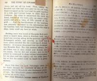 Strange Stories 奇談　開文社　英米文学訳注叢書