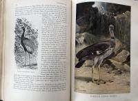 VOR KLODES DYR Tredie Bind