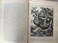 VOR KLODES DYR Tredie Bind