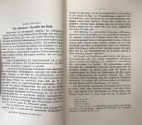 Über das normative und das deskriptive Element in der Ethik Spinozas