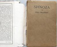 Spinoza Ein Umriß seines Lebens und Wirkens