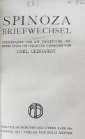 Spinoza: Briefwechsel. Philosophische Bibliothek, Bd 96a