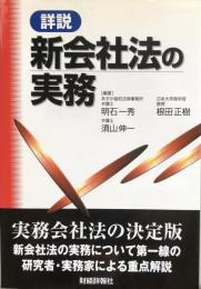 詳説　新会社法の実務