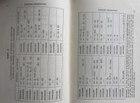 新英語音素論：New English Phonology