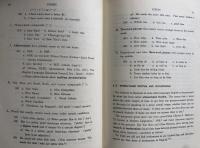 新英語音素論：New English Phonology