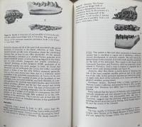 Primate Evolution: An Introduction to Man's Place in Nature