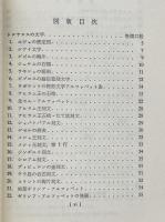 英語アルファベット発達史　文字と音価（開文社叢書）