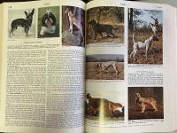 Encyclopaedia Britannica Commemorative Edition for EXPO'70 24 Volume Complete