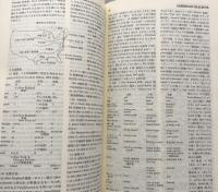 新英語学辞典　縮刷版