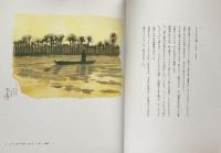 西から東へ三十万キロ　平山郁夫シルクロード展　　図録