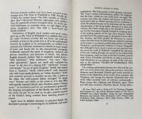 Yesterday's Woman: Domestic Realism in the English Novel