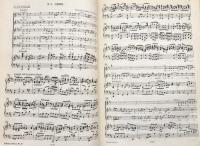 Hohe Messe in h-Moll  BWV 232 (Edition Peters Nr.37)