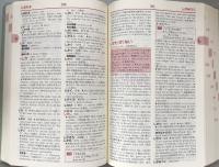 ニューアンカー英作文辞典［完全新版2色刷］