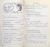 英語で書いてみよう ＜岩波ジュニア新書294＞