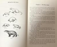 The Wind in the Willows (Penguin Readers Level 2)
