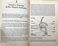 Grammatica Della Lingua Italiana