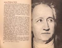 Vierge  23 Aout-22 Septembre