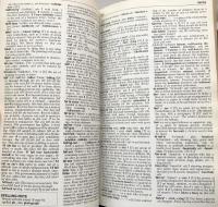Longman Dictionary of American English: A Dictionary for Learners of English
